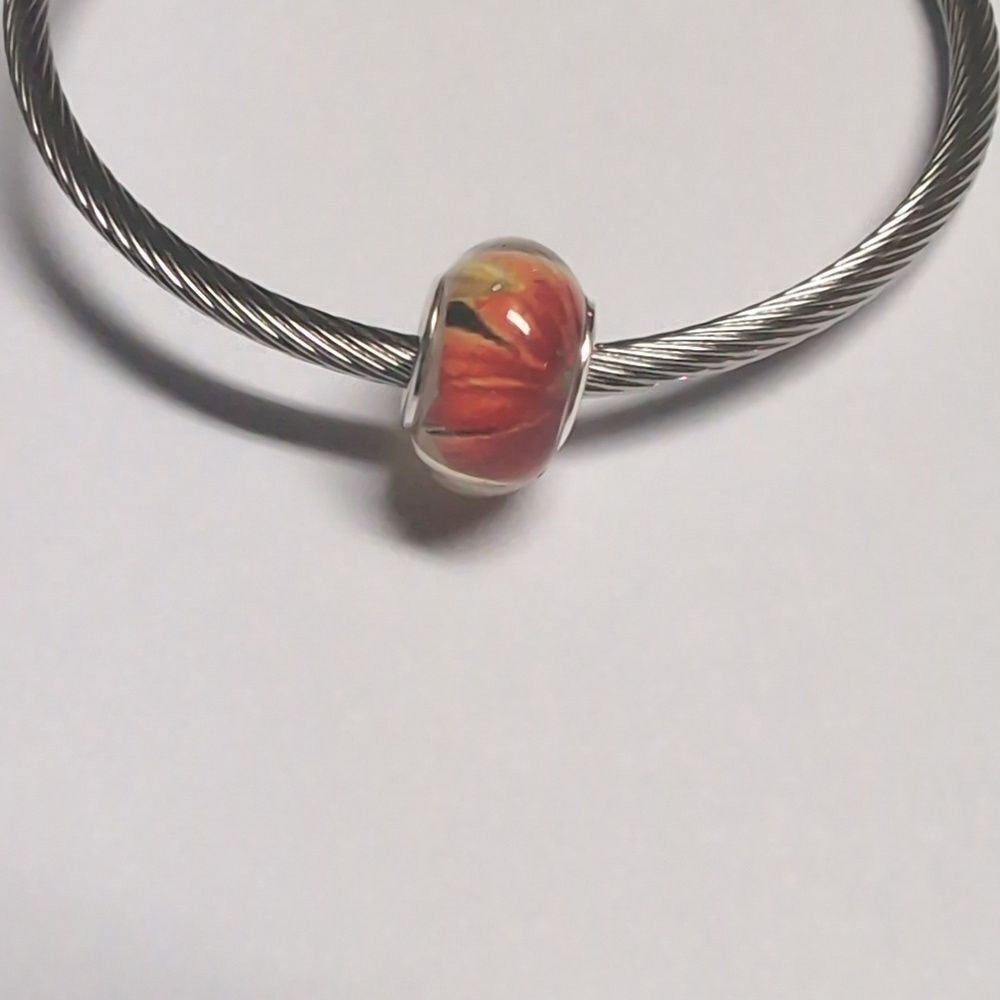 Clear with‎ Red and Yellow Floral Background Charm for Pandora Style Bracelet